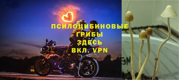 марки nbome Алзамай