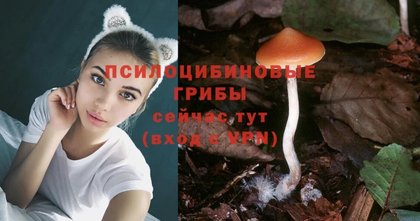 героин Абаза