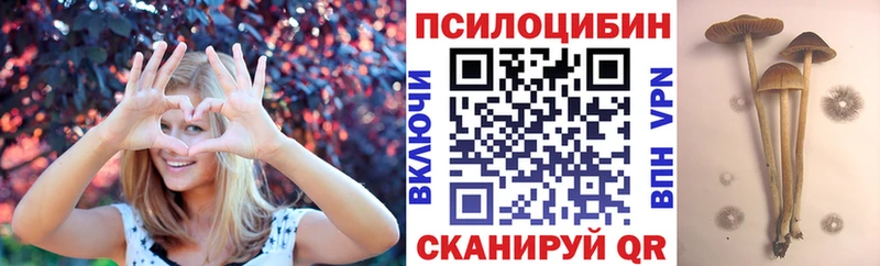 Псилоцибиновые грибы Psilocybe  Пудож 